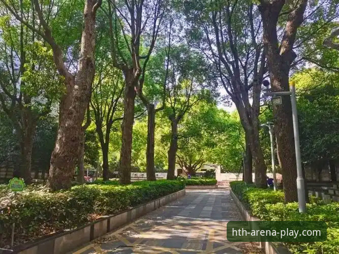 华体会HTH官网 华体会体育平台新旧版对比:2026新版到底值不值得升级?